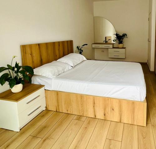 Dajt Apartment | Plant apartment