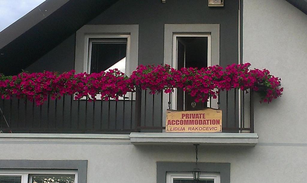 Kolasin House | Private accommodation Lidija Rakočević