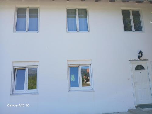 Radovici House | Radovici Family House
