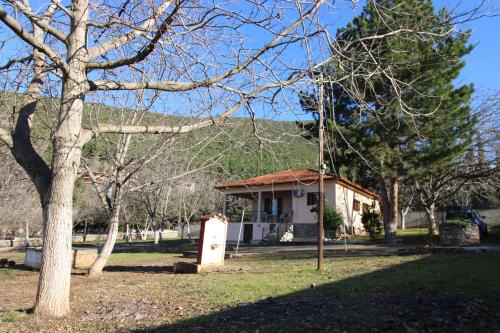Polidrosos House | Raise Polydrosos Family Lodge