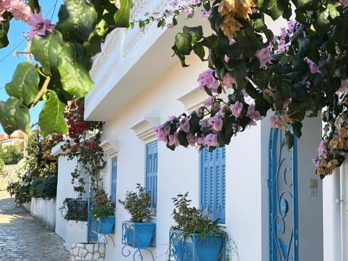 Fiskardo Apartment | Reginas -Blue Flower Little Home in the Heart of Fiscardo