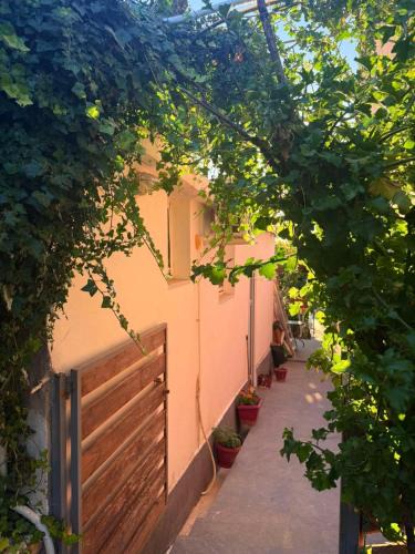 Kavallos Apartment | Rodon Apartments