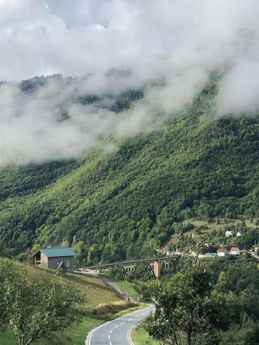 Njegovuđa House | Rooms DVORIŠTA