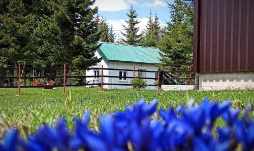 Zabljak House | Rural household Edelweiss