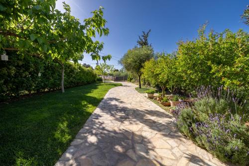 Chalcis Villa | Salt & Sol