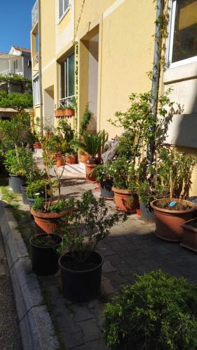 Babin do Apartment | Senka