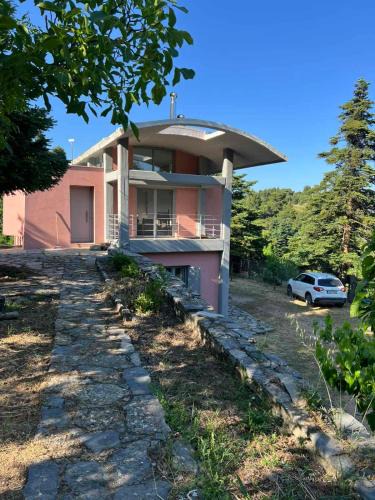 Seta House | Seta Forest House