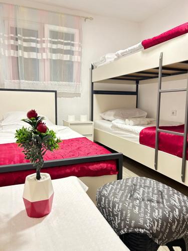 Podgorica Hostel | Sneza