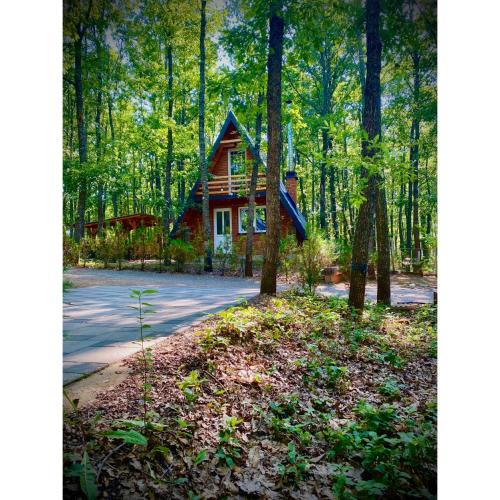 Bresalc Villa | STANET Forest Houses