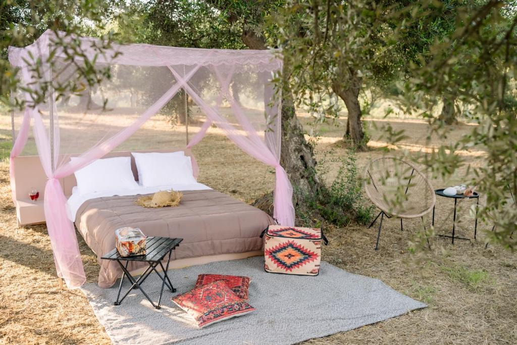 Ilida Other | Star Sleep Elis Land Estate - Eleni