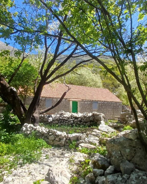 Kotor House | Stone House Vukcevici