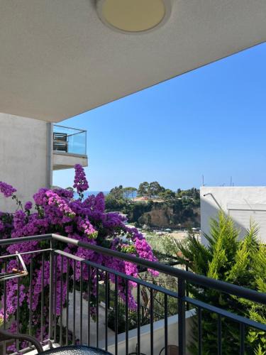 Rana Apartment | Studio Apartments near the Beach - Ulcinj, Montenegro
