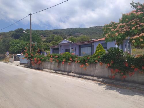 Lesbos House | studios ARTEMIS GARDEN