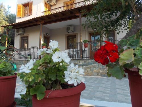 Skala Marion Apartment | Studios Kentia