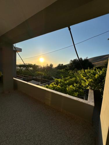 Molos House | Te Nana's Farm