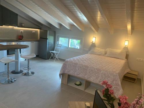 Ipsos House | Terpsichore boutique Bright new Sofita studios and appartment