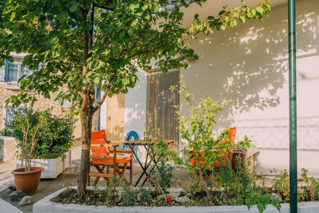 Samothrace Apartment | The apricot tree studio