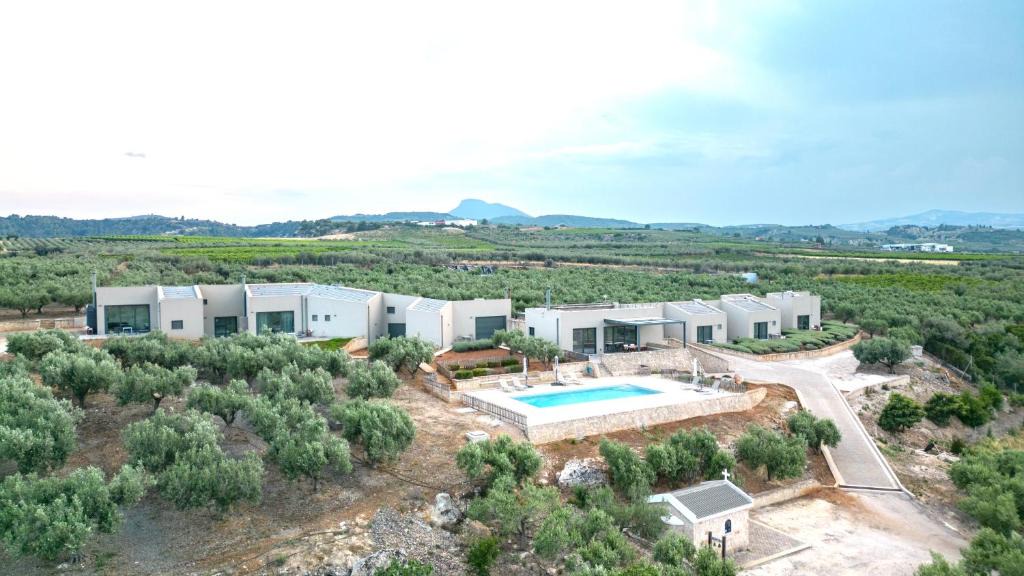 Velo-Vocha House | The Olive Hill