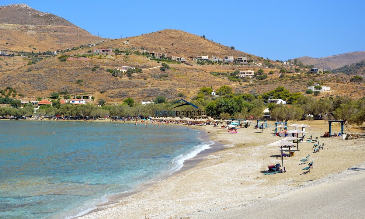 Kea House | The "Olive Tree" stone house 50 meters from the beach of Otzia.