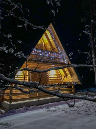 Zabljak House | The Pine Forest Cottage