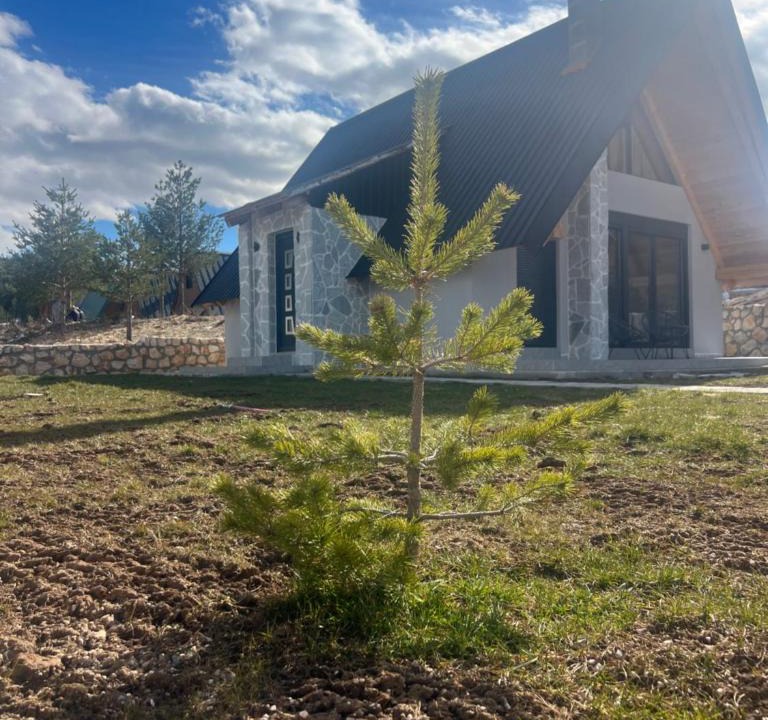Zabljak Ski Chalet | The Stone Nest