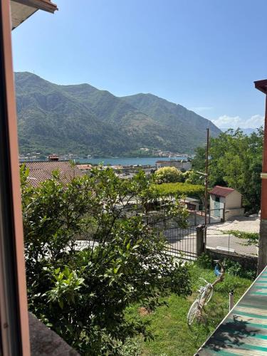 Kotor Hotel | Themis Apartment