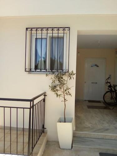 Anatolikos Sinikismos Apartment | THSTUDIOS Its the best