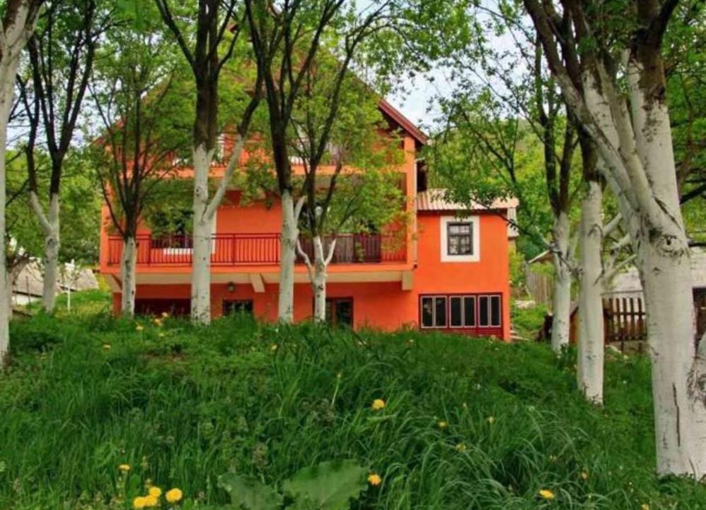 Pluzine Apartment | Tijanić Apartment Piva Lake