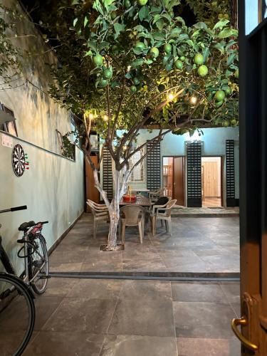 Tirana Hostel | Tirana Lemon Breeze Hostel