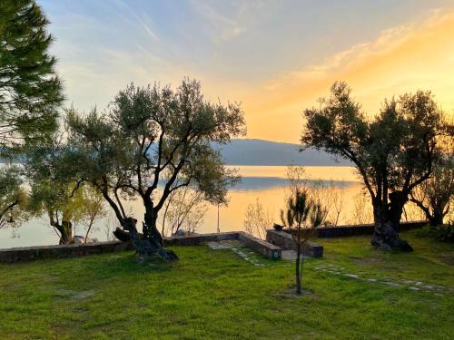 Mytilene House | Traditional Architecture Seafront Stone House in 25000sqm Olive Grove - C