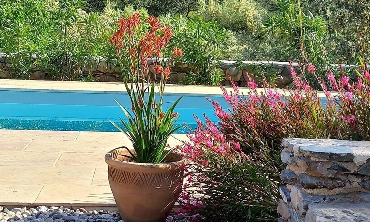 Livadi Villa | Traditional charming house
