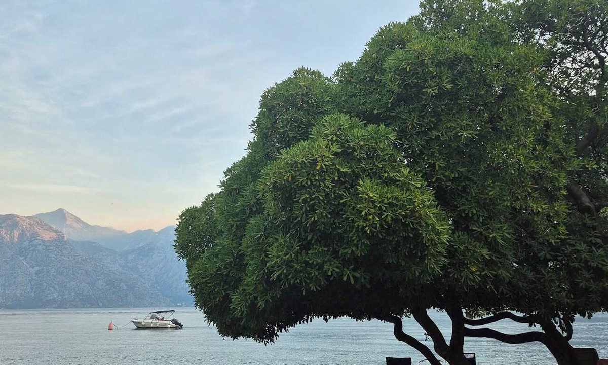 Prcanj Apartment | Upscale Waterfront 300-year-old Heritage Stone Apt with Bay Views near Kotor