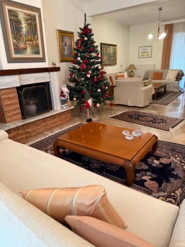 Trikala Apartment | Urban Elegance - Trikala
