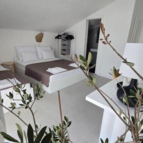 Meljine House | Vele House Walk to Beach