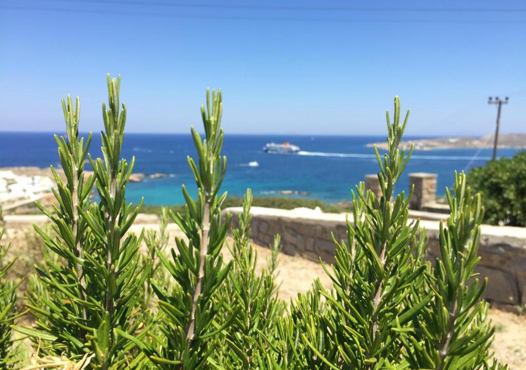 Parasporos House | View House in Paroikia Paros