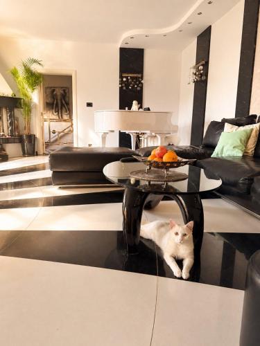 Boreti Villa | Vila Angel