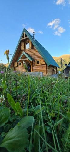 Savnik Ski Chalet | Vila Gorska