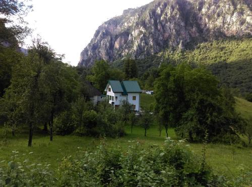 Montenegro House | Vila Montana