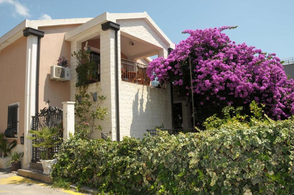 Gospostina Apartment | Villa Danile Cosy Apartments