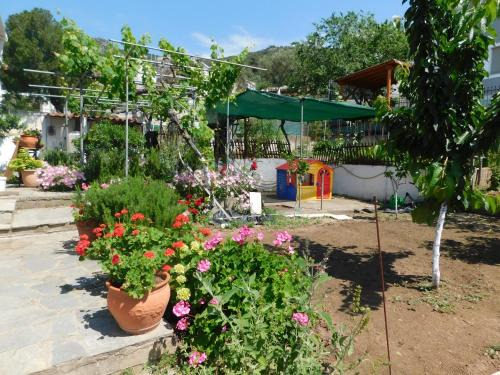 Kavala Villa | Villa Dima