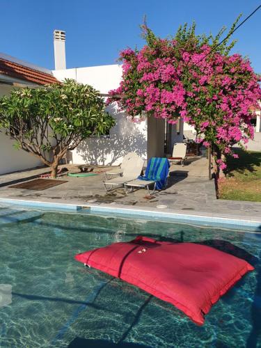 Lardos Villa | Villa Frangipani with large private pool, Rhodes