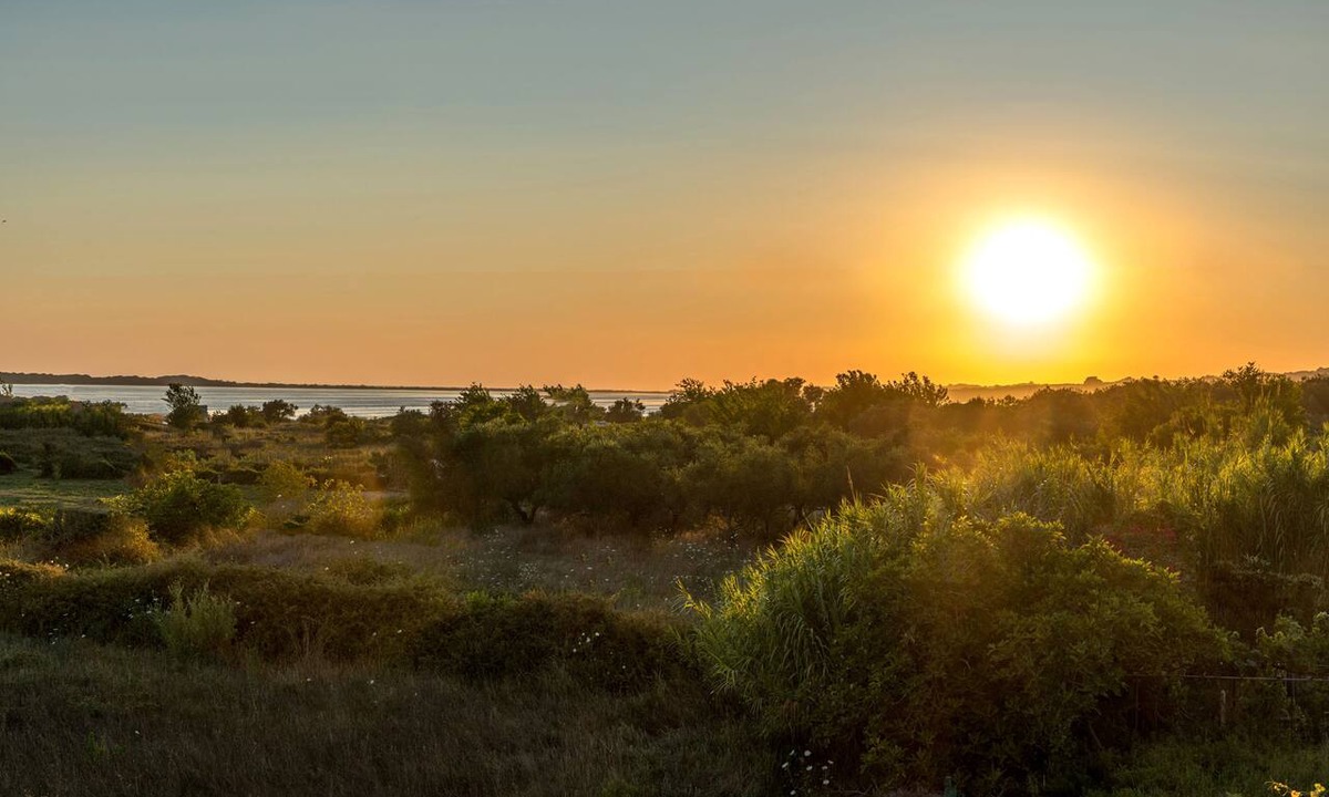 Linia House | Villa Nissos