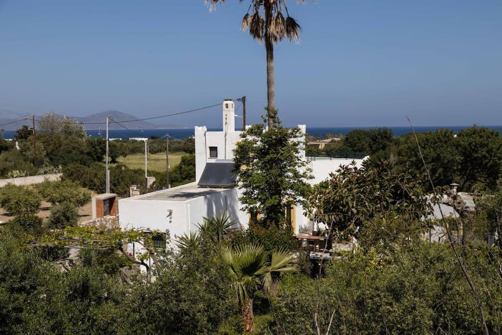 Kos Town House | Villa Peleziki