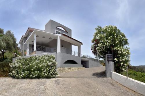 Dhris Villa | Villa Raks