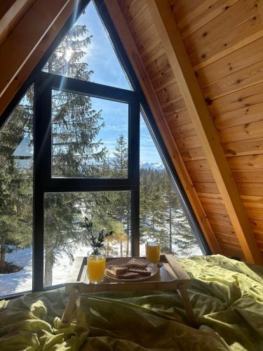 Zabljak Villa | Villa Tara