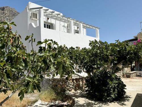 Telendos Villa | Villa Telendos