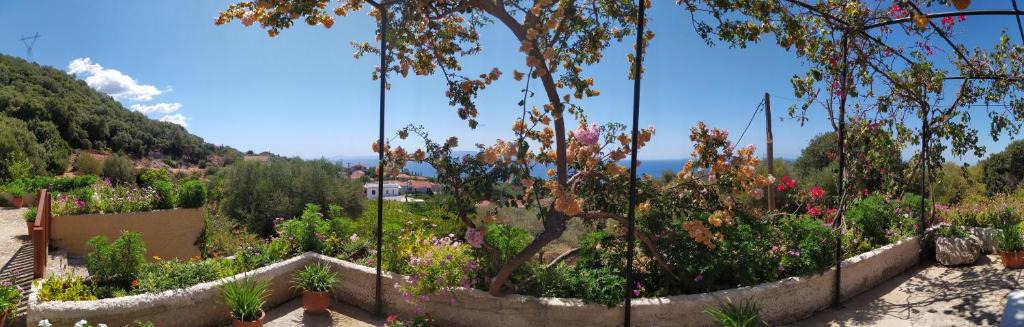 Leivathos House | Villa Tsapoula