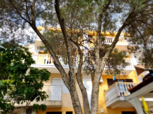 Babin do Apartment | Villa Vujačić