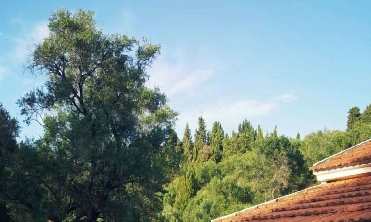 Afionas Villa | Villa with a private pool Afionas Corfu