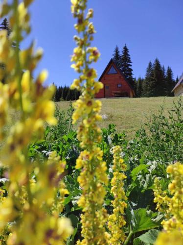 Zabljak Ski Chalet | Wooden cottage Podgora